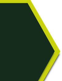Wabenlogo Wabenlogo